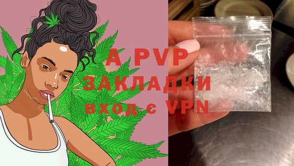 меф Арсеньев