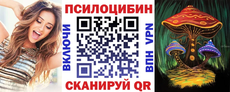 купить   Ворсма  Псилоцибиновые грибы GOLDEN TEACHER 